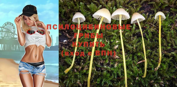 дживик Вязьма
