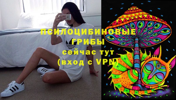 дживик Вязьма
