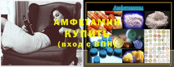 дживик Вязьма