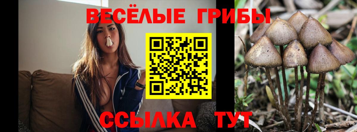 Галлюциногенные грибы Magic Shrooms  Вход с VPN  Железноводск 